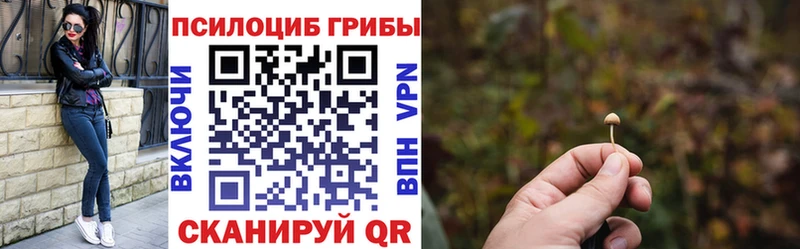 hydra ссылки как найти закладки Беслан Галлюциногенные грибы ЛСД