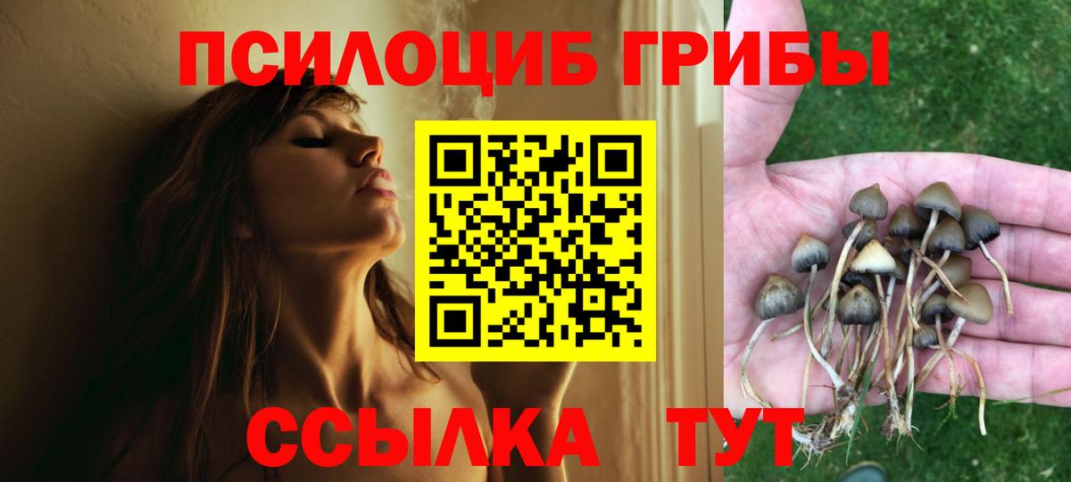 Беслан  Псилоцибиновые грибы мицелий  Галлюциногенные грибы GOLDEN TEACHER  Вход с VPN 