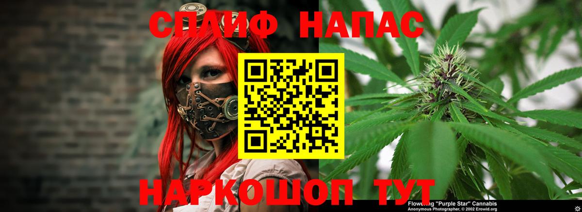 Конопля MAZAR  Бошки марихуана планчик  Каннабис White Widow  Беслан 
